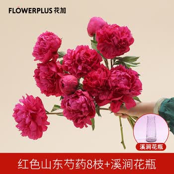 Flowerplus花加芍药季山东芍药美观鲜切主题花居家桌面客厅美观花束红色山东芍药8枝 溪涧花瓶5月28日起发货 图片价格品牌报价 京东 Flowerplus花加芍药季山东芍药美观鲜切主题花居家桌面客厅美观花束红色山东芍药8枝 溪涧花瓶5月28日起发货 图片价格品牌报价 京东