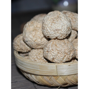 白口蘑张家口特产干货纯沽源口蘑干内蒙古塞上囗蘑aa