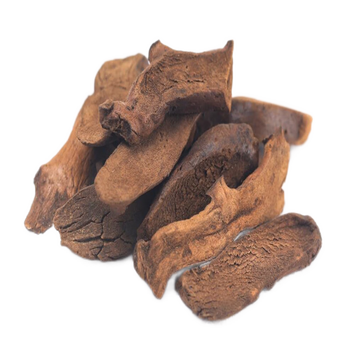 烫骨碎补1g中药饮片具有补肾强骨止痛的功效 1g