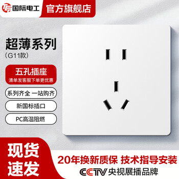 TEP 国际电工86暗装开关插座家用大板肤感五孔USB充电插座双控多控开关面板 五孔(10A) 插座