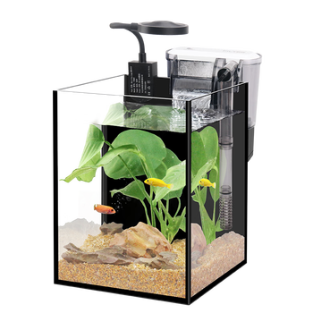 BESSN迷你超白缸鱼缸到底值不值得选择？深入揭秘为你解说