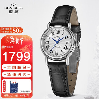 海鸥（SEAGULL）手表女士自动机械表 女表礼物 单日历女士腕表819.11.1046L 