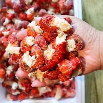 诺斯食美小龙虾尾新鲜冷冻大号整箱麻辣虾尾虾球海鲜水产3包600g约120