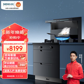 森歌（SENG） 集成灶 A2集成柜款 一体侧吸烟机燃气灶灶具二星级柜 纳米磨砂玻璃台面 左排烟 液化气定制