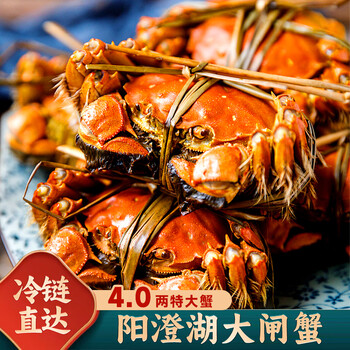 【活蟹】湖塘烟雨 阳澄湖大闸蟹鲜活螃蟹礼盒现货河蟹生鲜海鲜水产公蟹4.0母蟹3.0两4对