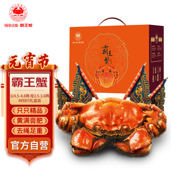 【活蟹】宿迁霸X蟹 鲜活大闸蟹 公4.5-4.8两 母3.5-3.8两 4对8只螃蟹海鲜年货礼盒装