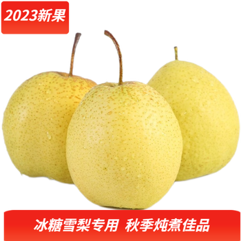 立始河北雪花梨脆甜梨子冰糖雪梨新鲜水果赵州特产（带箱） 5斤 （净重4.5-5斤）
