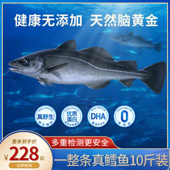 京东自营，星河湾 海鲜年货礼盒卡券 净重10斤真鳕鱼