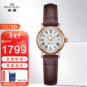 海鸥（SEAGULL）手表女士自动机械表 女表礼物 单日历女士腕表519.11.1046L