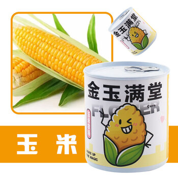儿童种植物罐头迷你盲盒网红祝福小盆栽玩具男女孩节日生日礼物 玉米
