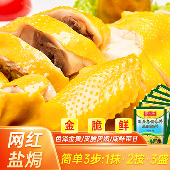 致美斋盐焗鸡粉配料30g 广东客家正宗手撕鸡家用鸡翅鸡爪沙姜粉调味料 盐焗鸡粉30g*6