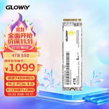 光威（Gloway）4TB SSD固态硬盘 M.2接口(NVMe协议) PCIe 4.0 弈系列 读速高达7450MB/s