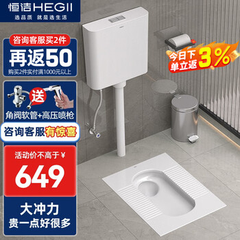 恒洁（HEGII）蹲便器水箱套装蹲坑蹲厕便池防臭大便器组合 3026B蹲便器+6025大冲力水箱