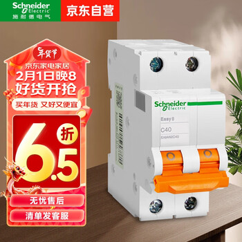 施耐德空气开关EA9系列双进双出双极空开2P C型40A EA9AN2C40 230/400VAC总闸空气开关断路器
