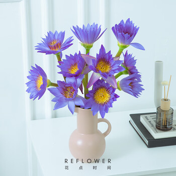 花点时间（Reflower）鲜花玫瑰康乃馨百合向日葵绣球睡莲小菊云南基地直发鲜切花材-海 紫色睡莲10枝