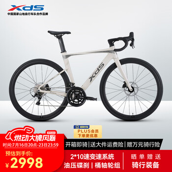 喜德盛(xds)公路车25-AD300油碟UCI车架2x10速中空一体牙盘桶轴车白蛇480MM