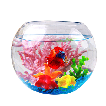 鱼麒麟玻璃圆鱼缸30cm怎么样?直击体验感受