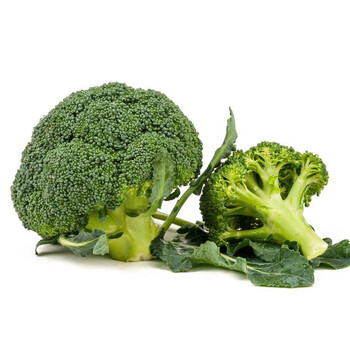 美农汇西兰花种子耐寒优秀炎秀优秀青花菜种籽杂交花菜籽合集高产基地用日本坂田炎秀西兰花50粒试种 图片价格品牌报价 京东