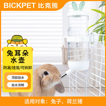 比克熊兔耳朵悬挂式饮水壶自动喂水不锈钢滚珠防漏大容量兔子刺猬龙猫