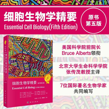 Essential細胞生物学 （Essential 細胞生物学 原書第5版 （○子