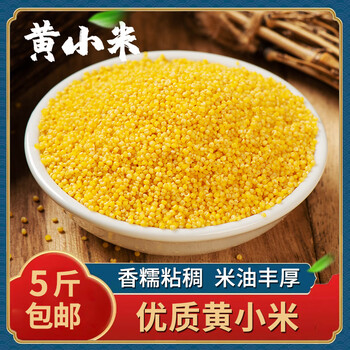 xywlkj黄小米粥小黄米新米农家新货糯小米5斤农家粗五谷小米杂粮优质