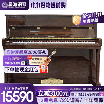 星海钢琴巴赫多夫现代风格立式家用考级演奏琴 BU-120 胡桃木色