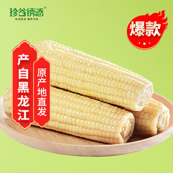珍谷诱惑 东北白糯玉米10支 2kg*1箱