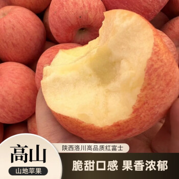 第E美味陕西苹果洛川富士一箱大果脆甜苹果吃的当季水果新鲜现摘甜嘎啦果 80mm-85mm（带箱约9.5斤）