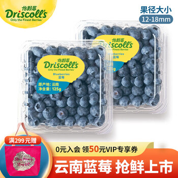 怡颗莓【当季】当季云南蓝莓 Jumbo超大果国产蓝莓 新鲜水果 云南当季125g*2盒