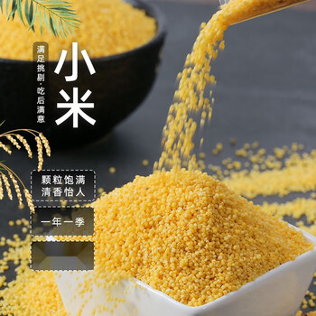 友炫东北黄小米5斤新米农家粗粮小米粥孕妇杂粮月子熬粥米1斤小米东北