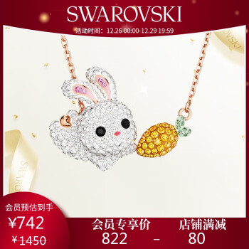 施华洛世奇项链,引领珠宝潮流