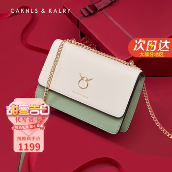 CAKNLS KALRY CK轻奢包包女包单肩包女士斜挎包新年情人节生日礼物送女友老婆 CK-99绿色 礼盒装