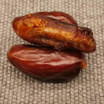 xywlkj伊拉克椰枣大颗粒非特级新疆特产中东阿联酋沙特耶枣新货大黄