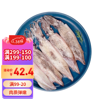 纯色本味 冷冻深海笔管鱿鱼 海兔 墨斗鱼 生鲜水产 600g