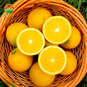 鑫佳叶（xingjiaye）湖南冰糖橙当季新鲜橙子水果手剥橙甜橙子现摘现发 小果4.5斤装 50-55MM