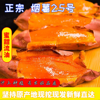 遇见悯农正宗烟薯25号烤薯沙地红薯新鲜黄心地瓜洋芋蜜番薯精选整箱5斤 正宗山东烟薯25 优选小果带箱5斤