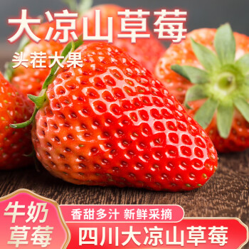 2024年1月15日更新【万能白菜价】的图片 第22张