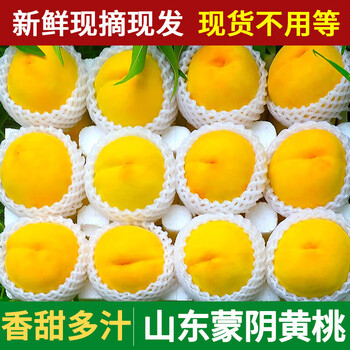 京格 顺丰 山东蒙阴 大黄桃 黄金桃 2.5斤装（6-8个）