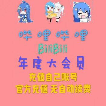 哔哩哔哩会员12个月 bilibili会员B站大VIP会员1年卡 【填写手机号】 bilibili大