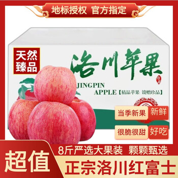 壹棵弘芯陕西洛川红富士苹果水果8斤时令冰糖心丑苹果新生鲜水果礼盒物品 8斤大果带箱单果180g+净重超6斤