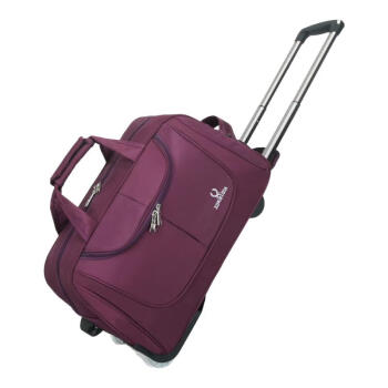 嘉禾生活 拉杆包旅游包女手提包男大容量行李包登机包可折叠防泼水旅行包 紫色 20英寸 可登记