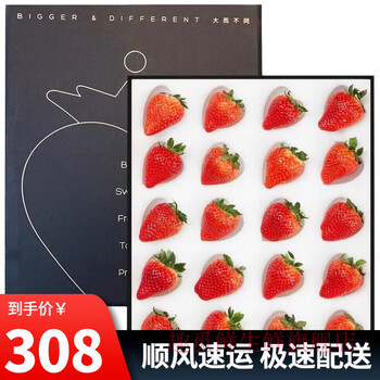 趣觅鲜imeimax草莓礼盒装黑金版丹东99草莓红颜大草莓新鲜水果礼物 黑金版20/24颗随机单果35g