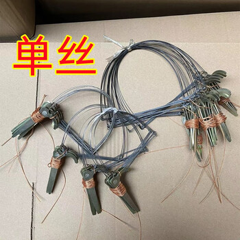 轰辇观赏户外竹笼钢丝养殖白面水鸡鹧鸪毛鸡鸟笼工具全套笼套子 小号