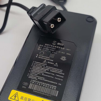 汇瑛蒂新日锂电池专用充电器48v60v2a4a原厂原配原车件dzl4812014 新