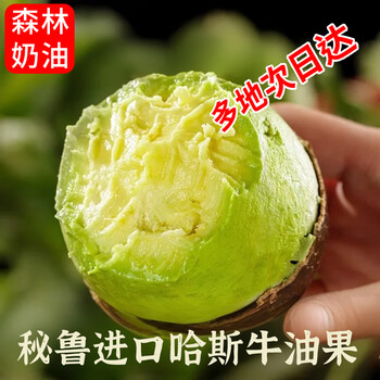 鲜级佳秘鲁进口牛油果哈斯鳄梨微催熟新鲜采摘孕妇宝宝辅食健身水果当季 秒杀特惠 101-140g【6枚】