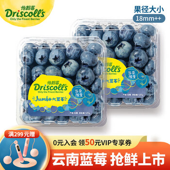 怡颗莓【超值力荐】当季云南蓝莓 Jumbo超大果国产蓝莓 新鲜水果 Jumbo超大125g*2盒