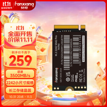 梵想（FANXIANG）512GB SSD固态硬盘 M.2接口(NVMe协议)2242版型PCIe3.0长江存储晶圆 S542PRO系列