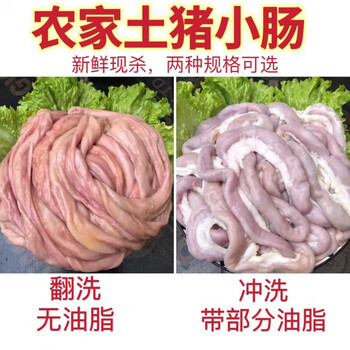 语然农家新鲜猪小肠圈圈肠农村土笨猪现杀生苦肠2斤猪肠子灌血肠粉肠