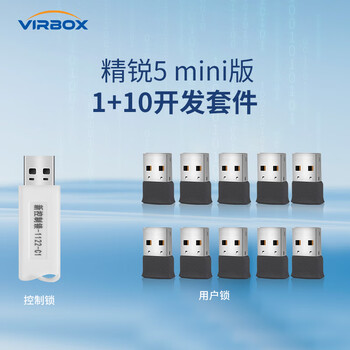深思数盾精锐5加密狗加密锁  开发套件1控制锁10 U盘用户锁首次必购license授权管控 软件授权保护 Mini 版1+10开发套件