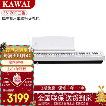 卡瓦依（KAWAI）电钢琴ES120便携式88键重锤逐键采音 儿童入门演奏数码钢琴 ES120白主机+单踏【官方标配】
